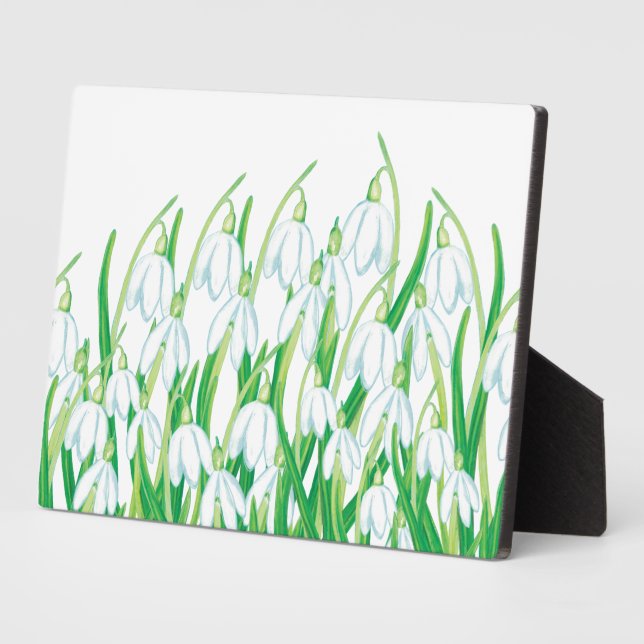 Plaque Photo Snowdrops de printemps (Côté)
