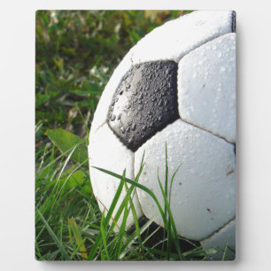 Plaque Photo Soccer~ Boule de pied dans le champ