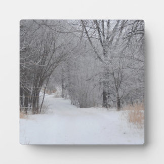 Plaque Photo Solitude d'hiver
