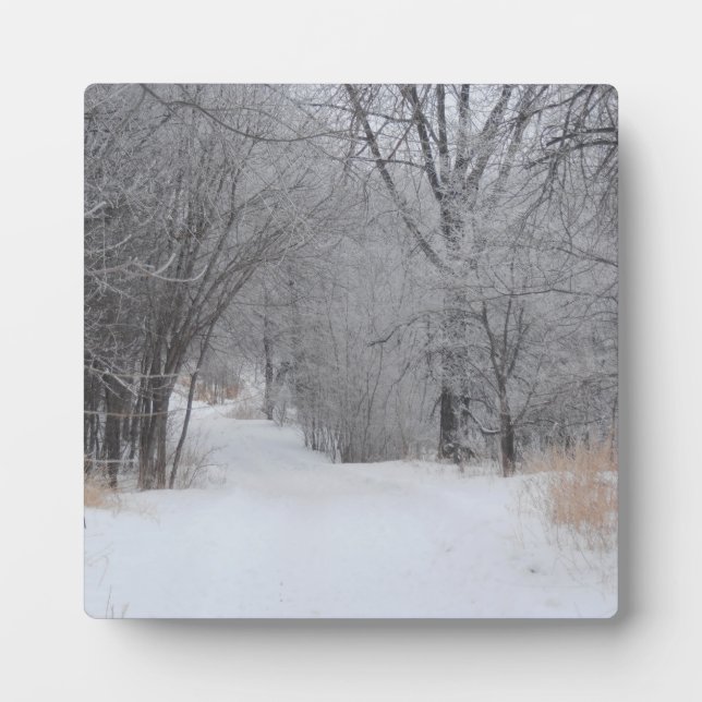 Plaque Photo Solitude d'hiver (Devant)