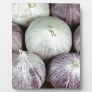 Plaque Photo Solo Garlic