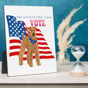 Plaque Photo Sortir du vote