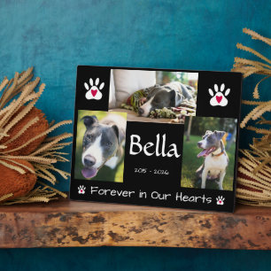 Plaque Photo Souvenir de deuil d'animal de compagnie