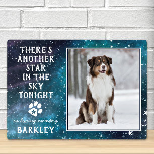 Plaque Photo Souvenir de perte d'animal de compagnie Mémorial p