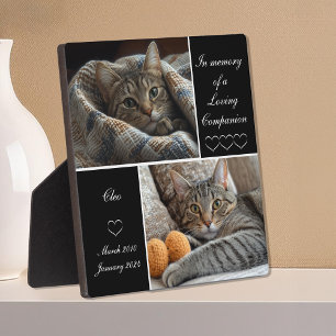 Plaque Photo Souvenir du souvenir de l'animal de compagnie Chie