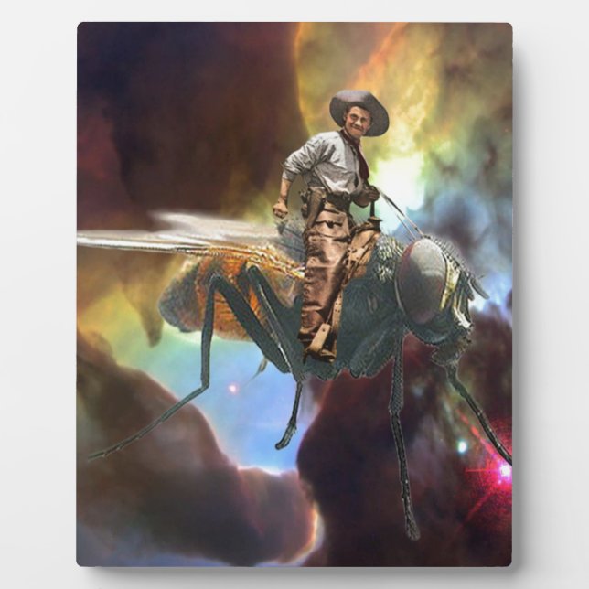 Plaque Photo Space Cowboy (Devant)