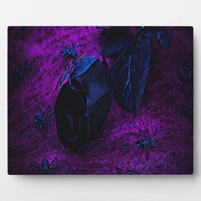 Plaque Photo Spooky Black Material Rose, Black Spiders (Devant)