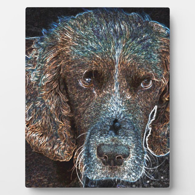 Plaque Photo Springer anglais (Devant)