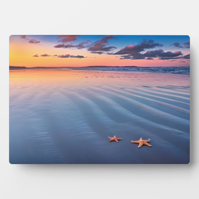 Plaque Photo Starfish (Devant)