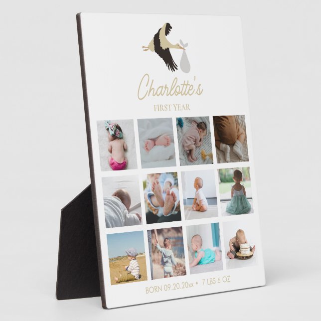 Plaque Photo Statistiques de naissance pour les photos de la pr (Côté)