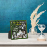 Plaque Photo Staying Positive Typography Text White Daisies<br><div class="desc">This plaque features a photograph of fragile daisies growing amongst a rock bed bordered by other greenery. The typography statement,  "I refuse to let anyone ruin my day with negative vibes!" adds a positive note.</div>
