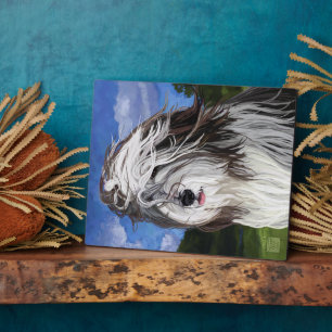 Plaque Photo Stella, le chien des moutons anglais