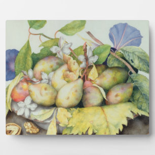 Plaque Photo Still life with Plums, Walnuts and Jasmine (w/c on