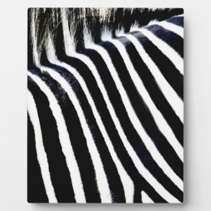 Plaque Photo Stripes & I_