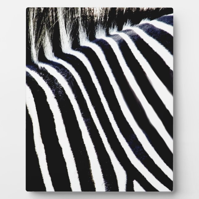 Plaque Photo Stripes & I_ (Devant)
