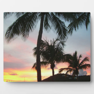Plaque Photo Sunset Palms Tropical Paysage Photographie