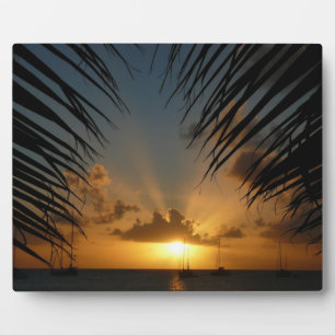 Plaque Photo Sunset Through Palm Fronds