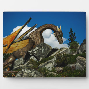 Plaque Photo Sur la colline
