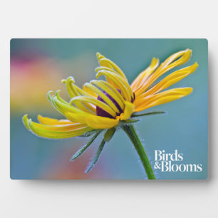 Plaque Photo Susan aux yeux noirs