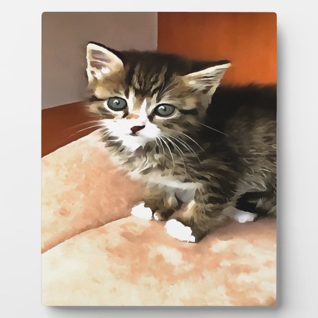 Plaque Photo Tabby Cat Kitten Portrait pour animaux (Devant)
