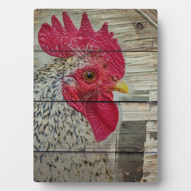 Plaque Photo Tableau de la grange de poulet rustique Rooster (Devant)