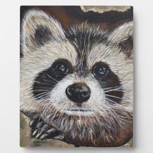 Plaque Photo Tableau Raccoon