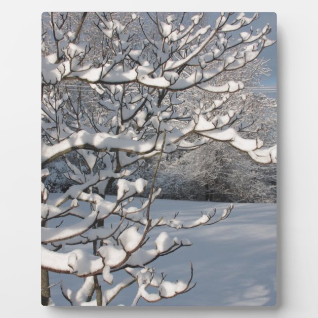 Plaque Photo Tempête d'hiver (Devant)