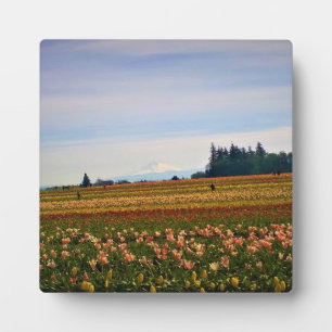 Plaque Photo Terrain de tulipe avec Mt Hood, Oregon