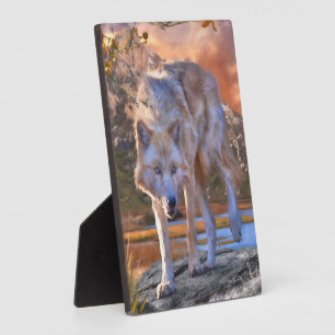 Plaque Photo TERRAINS DE CHASSE DE Loup