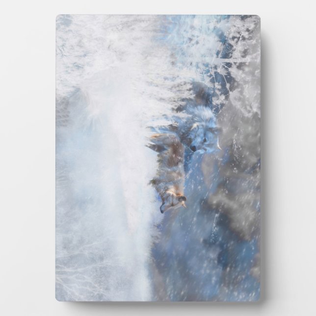 PLAQUE PHOTO TERRITOIRES DU LOUP (Devant)