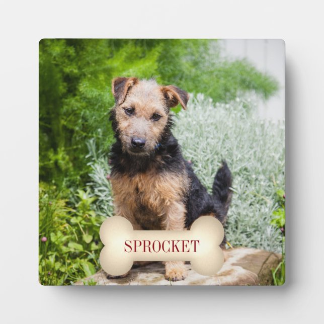 Plaque Photo Texte rouge profond sur os avec la photo d'un anim (Devant)