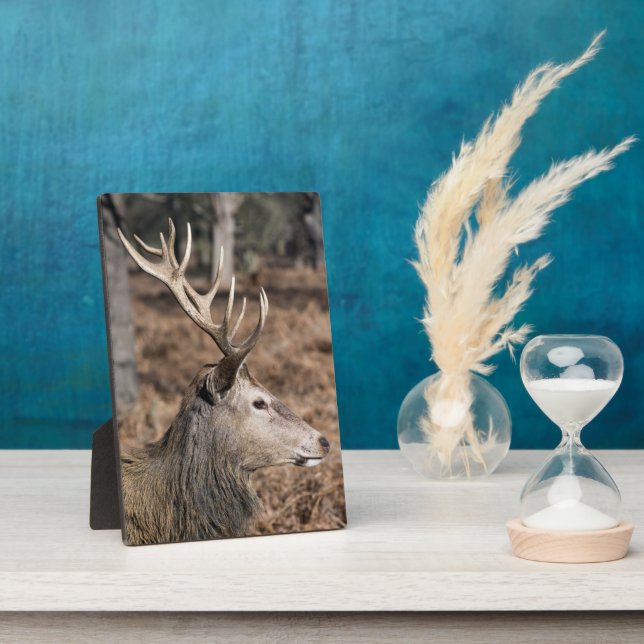 Plaque Photo The King's Deer of Richmond Park, Londres, Royaume (Côté)