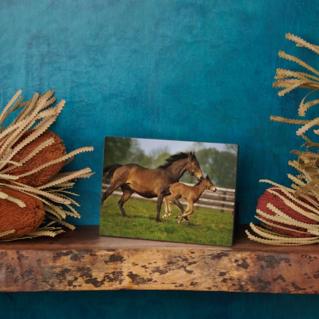 Plaque Photo Thoroughbred Chestnut Mare & Foal (Côté)