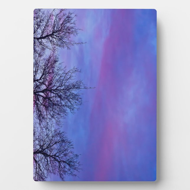 Plaque Photo Three Tree Tops (Devant)