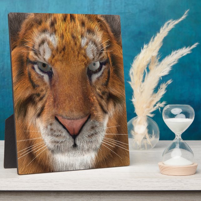 Plaque Photo Tigre (Côté)