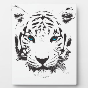 Plaque Photo Tigre blanc aux yeux bleus