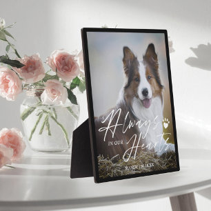 Plaque Photo Toujours dans nos coeurs Pet Photo Memorial