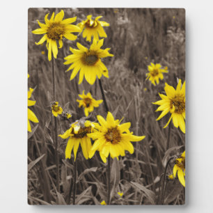 Plaque Photo Tournesol dans la Montagne Rocheuse