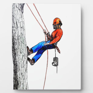 Plaque Photo Tree Surgeon Arborist Forester