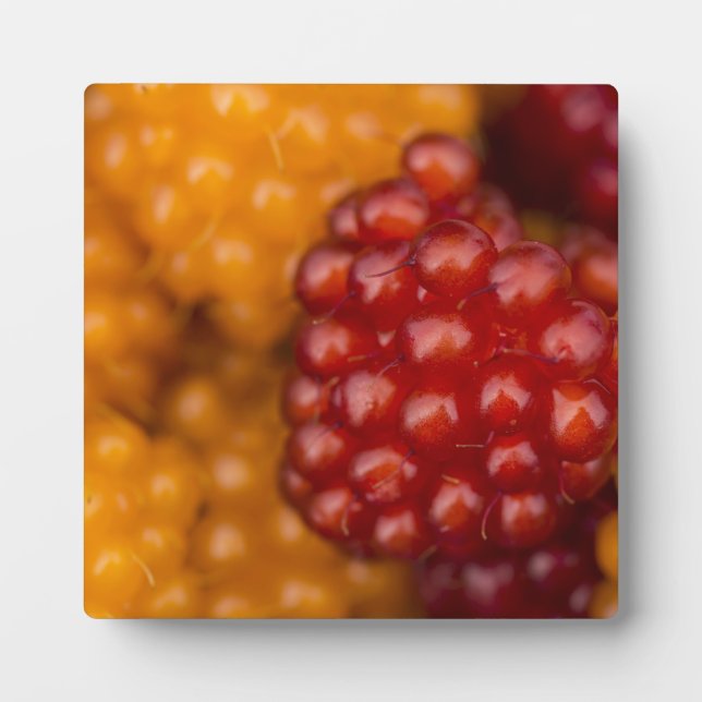 Plaque Photo Très Berry (Devant)