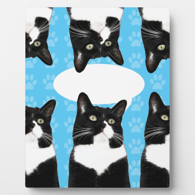 Plaque Photo Triple Cute Kitty Make Statement Fun Photo (Devant)