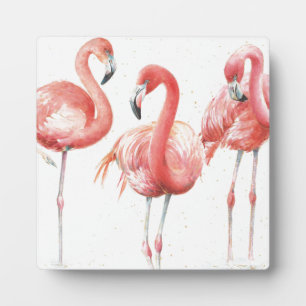Plaque Photo Tropical   Famille de Flamants roses