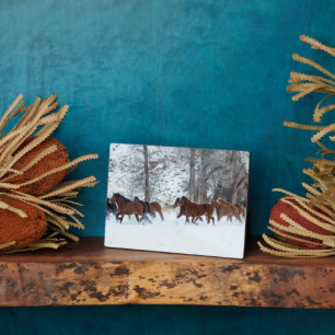 Plaque Photo Troupeau de chevaux courant dans la neige