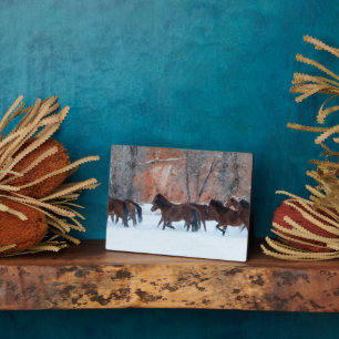 Plaque Photo Troupeau de chevaux courant dans la neige