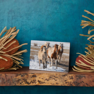Plaque Photo Troupeau de chevaux de races mélangées courant dan