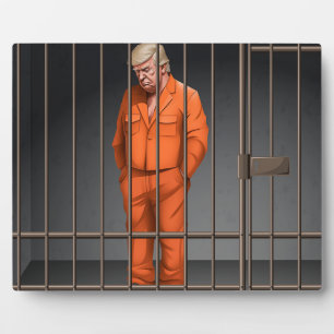 Plaque Photo Trump en prison 8x10 avec de l'Easel