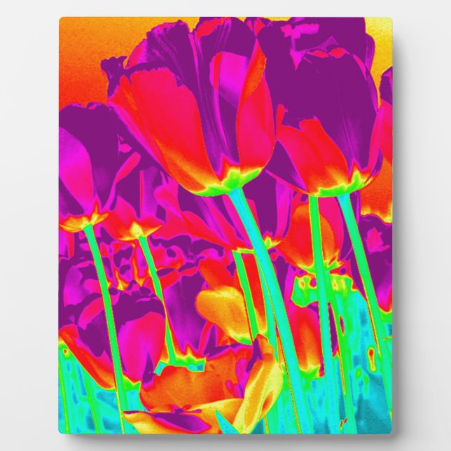 Plaque Photo Tulipes (Devant)
