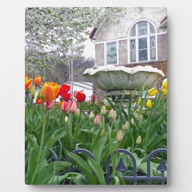 Plaque Photo Tulipes de printemps (Devant)