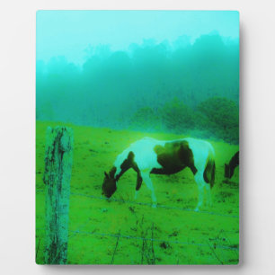Plaque Photo Turquoise brouillard Reto colorié poney peint Chev