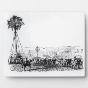 Plaque Photo Un palmier transporté à Hyde Park pour